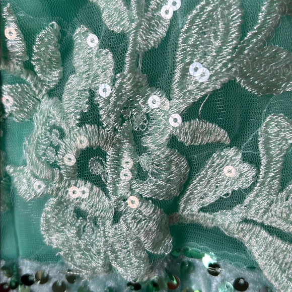 Stunning embroidered sequin stunner mini dress - Picture 7 of 9